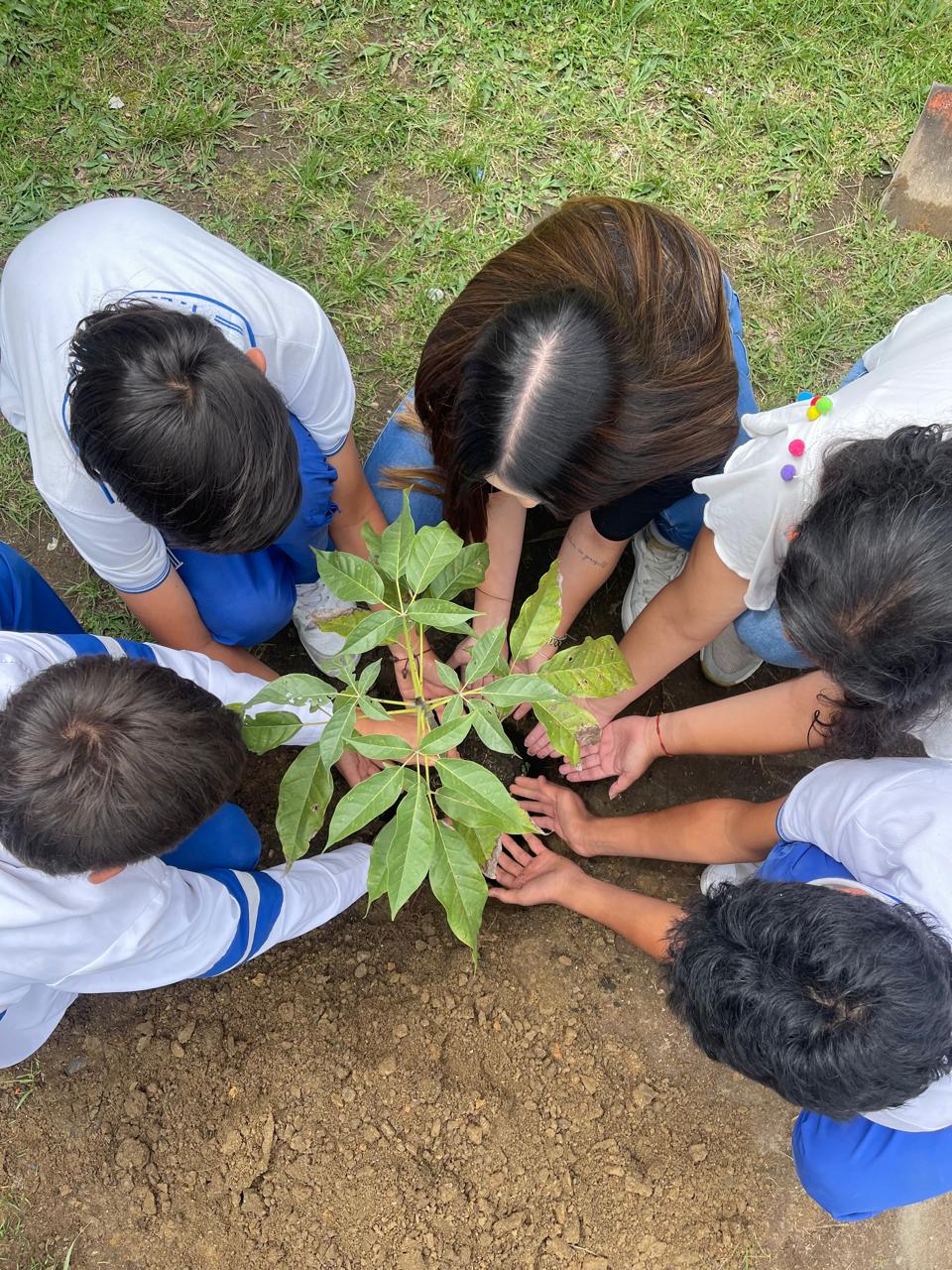 Educación ambiental con niños