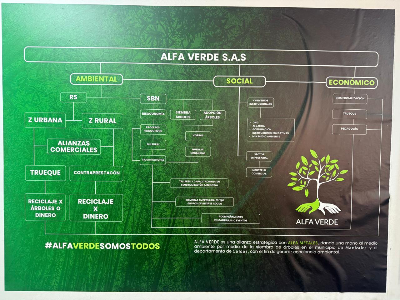 Estructura ALFAVERDE